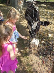 Adriana and Peyton w cow
