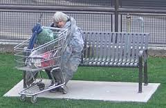 Homeless woman shopping cart