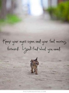 Quote keep moving forward kitten
